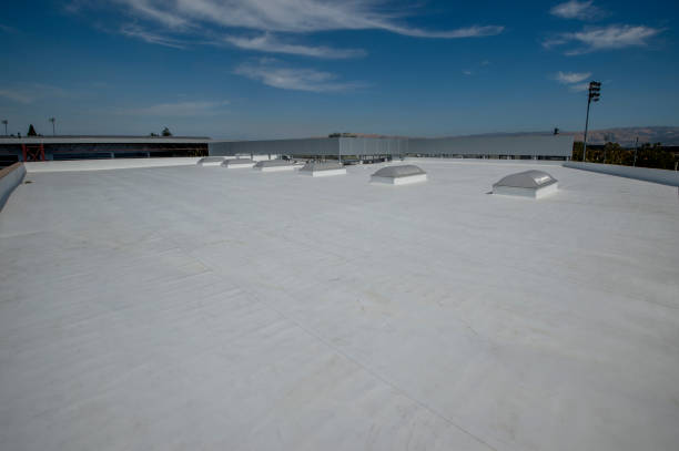 Best Roof Ventilation Installation  in Benwood, WV