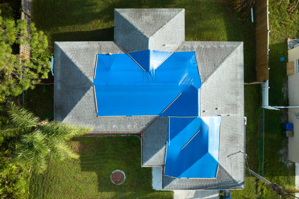 Best Roof Coating and Sealing  in Benwood, WV